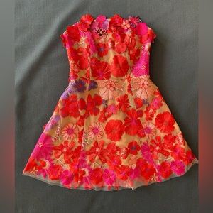 Elliatt Amuse Dress, NWT, Small with red and pink floral embroidery